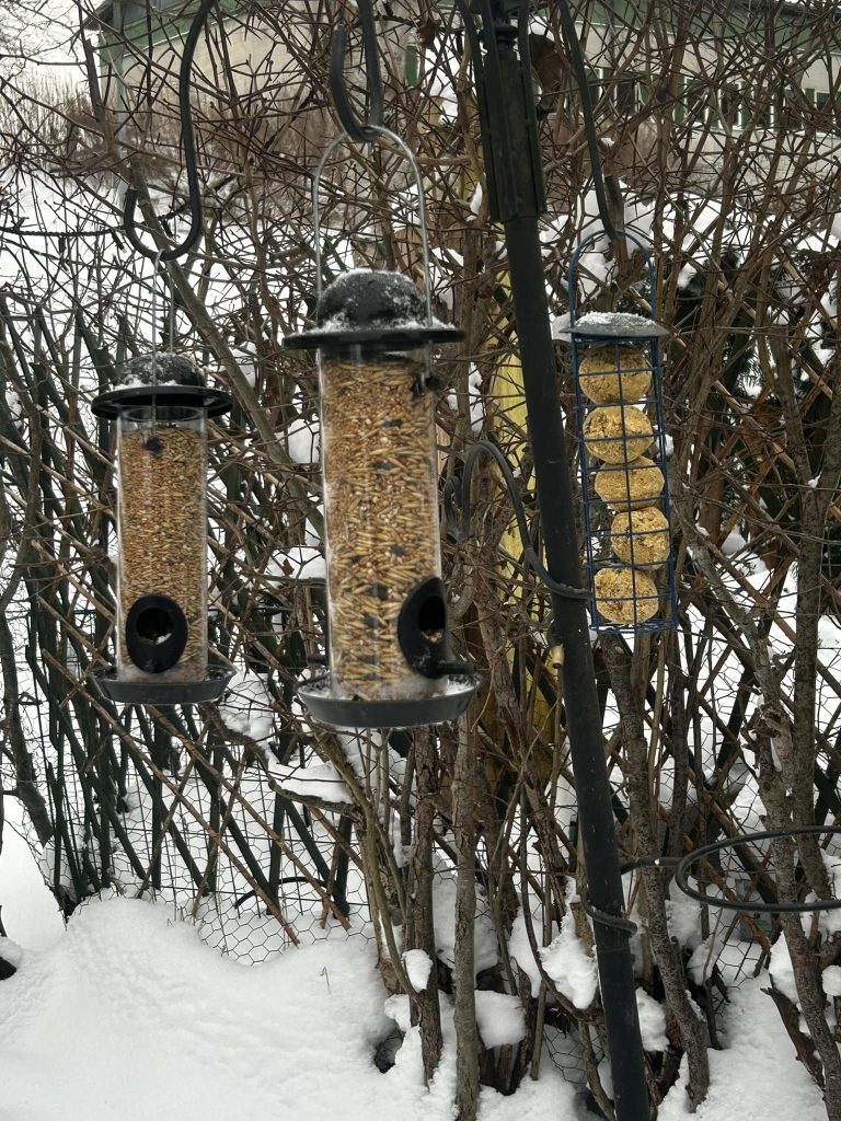 Vilka aktier är bäst att satsa på som nybörjare?