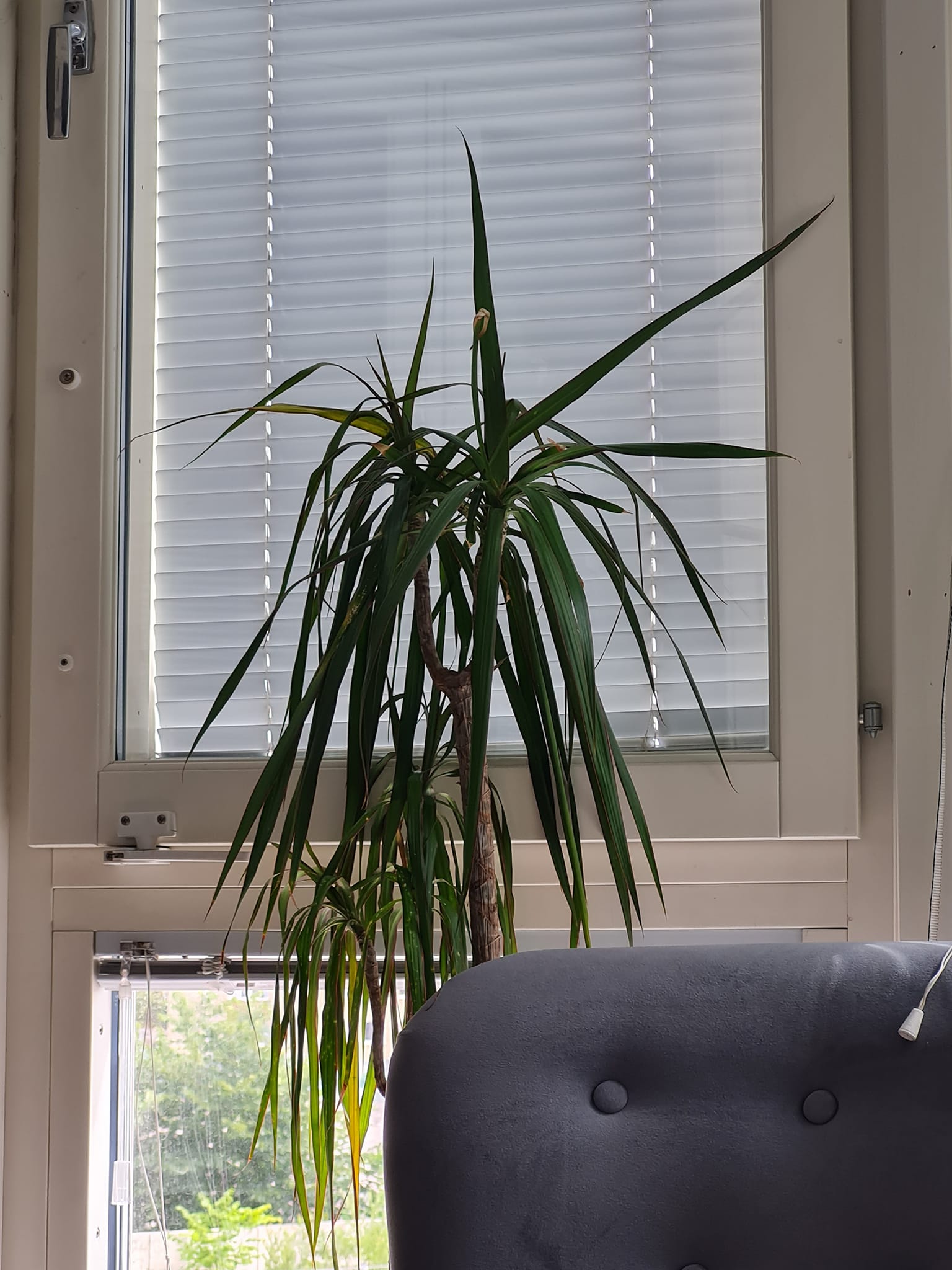 Regler för överlåtelse av aktier